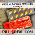 Gelée De Kamagra 100 Mg De Kamagra new01